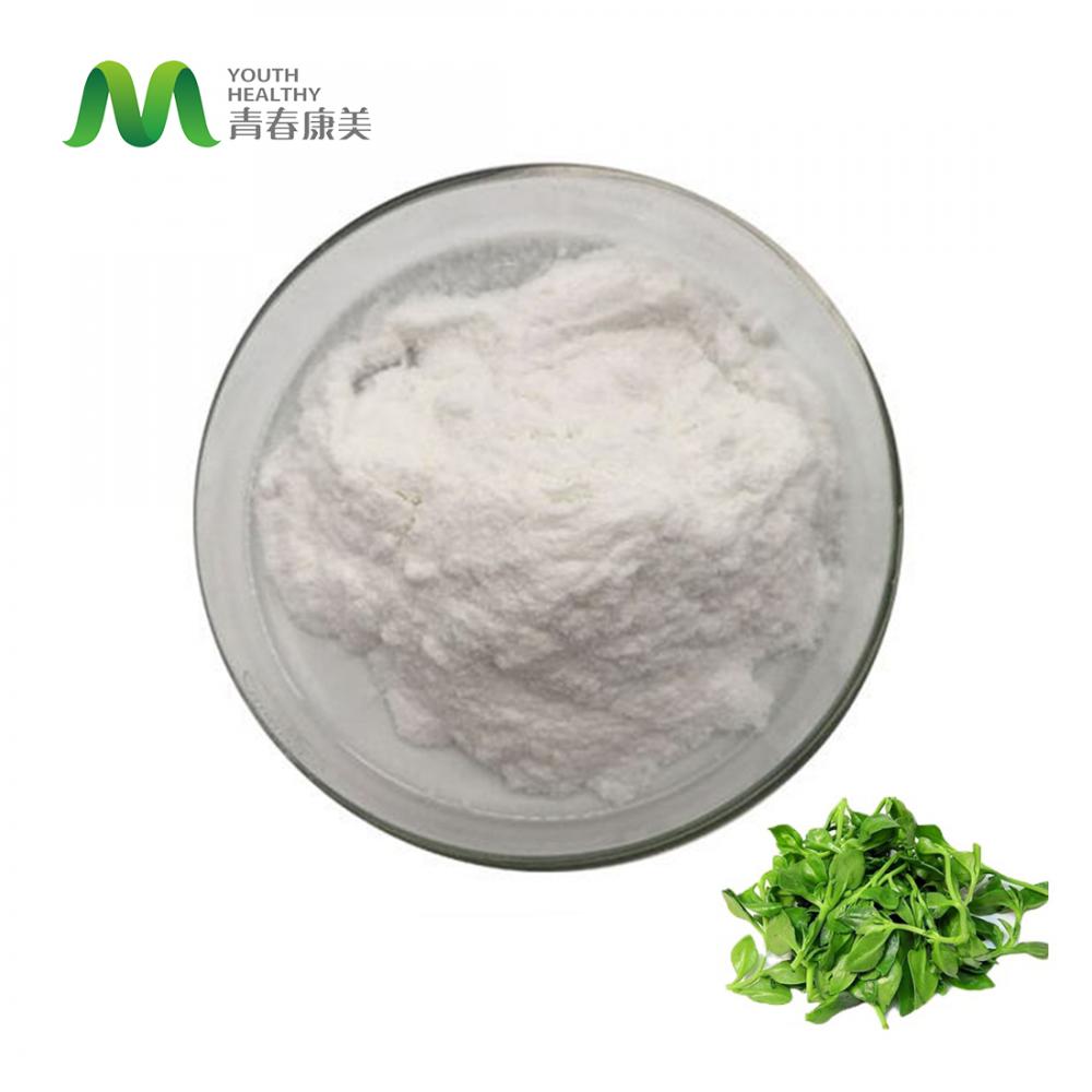 Andrographis Paniculata Extract Price de polvo