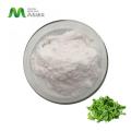 Bulk Andrographis Paniculata Extract Powder Price