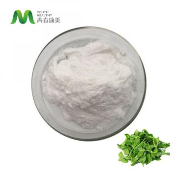 Andrographis Paniculata Extract Price de polvo