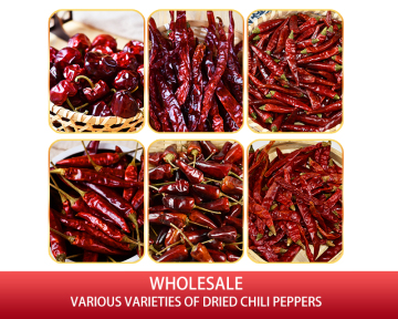 Spot Wholesale Whole Chili diiris kubus cincang