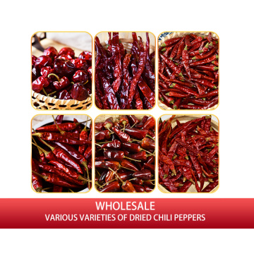 Red Dried Chili WholeSale 100% Organic Customized