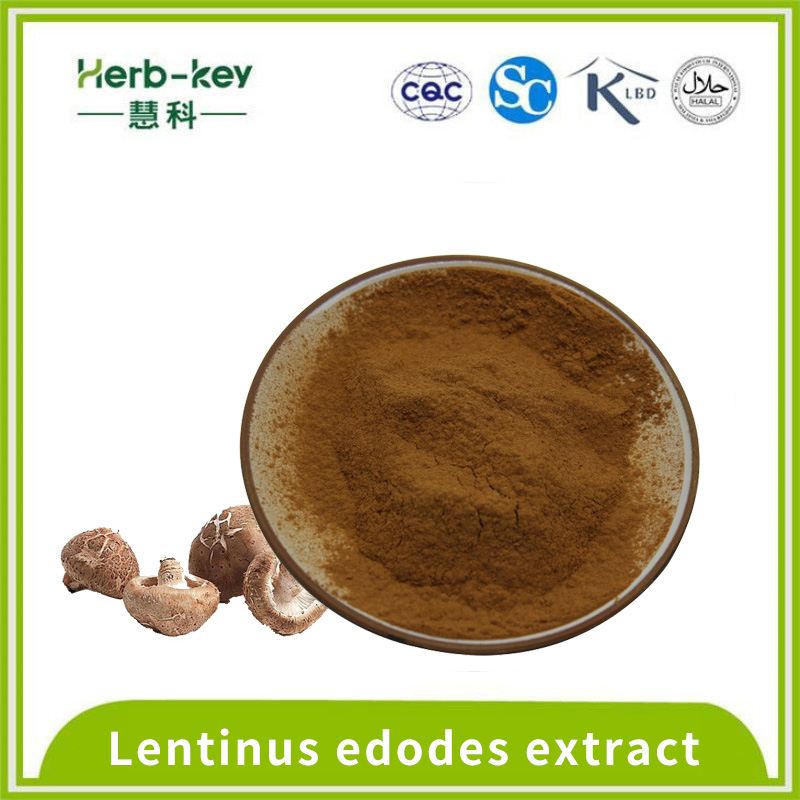 30% Lentinus EDODES Fruiter Corps Lentin Extrait