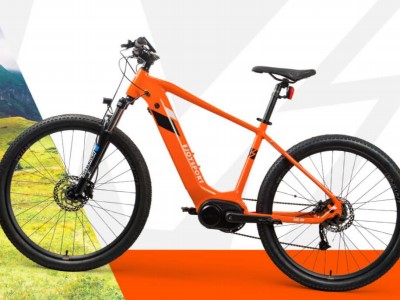 EU Stock Grizzly Elektrofahrrad