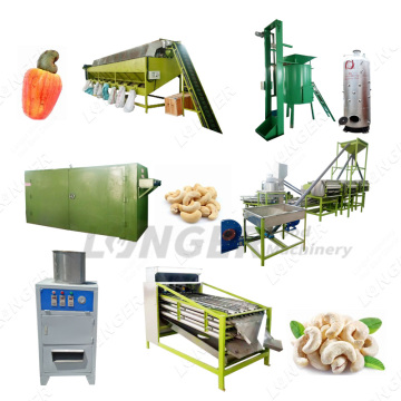 Professional Cashew Nut Processing Plant and Machine Prices