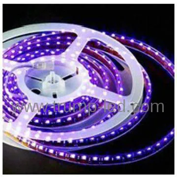 christmas led lights indoor