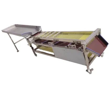 Factory Supply: Dragon Fruit Pitaya Grading Machine, Pomegranate Sorter, Avocado Sorting Machine