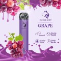 Gunnpod 2000 Puffs Einweg-Vape Grape