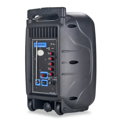 Temeisheng 8 Inch Portable Surround Sound Speaker