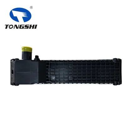 TONGSHI Cooling System Truck Radiator & Auto Radiator for JSB