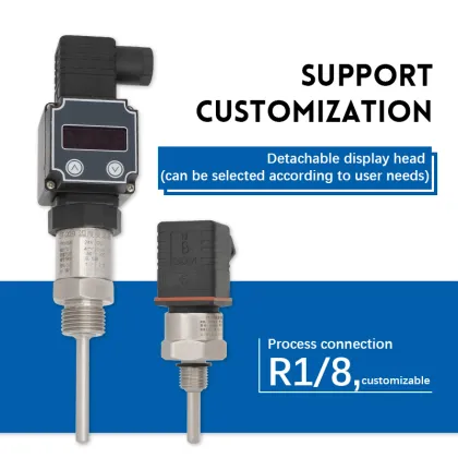 Customized Herman Temperature Sensors with Integrated Transmitter