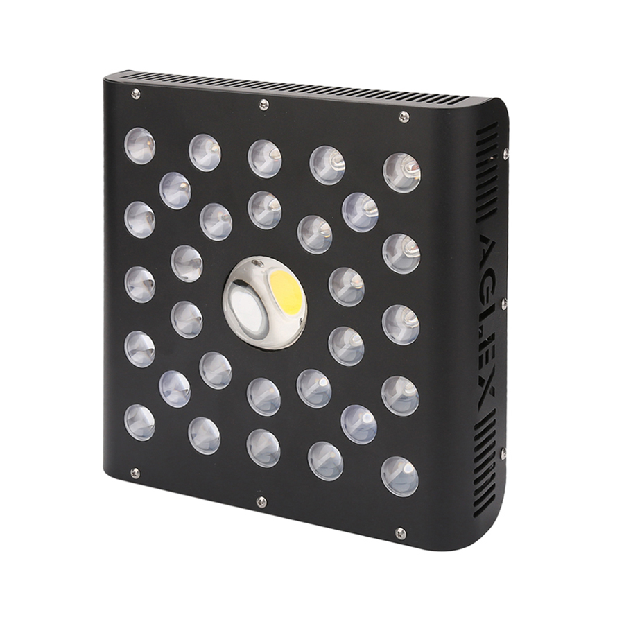 Kleine 600W LED Grow Leuchte für Sukkulenten