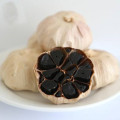 Cooking Use whole black garlic