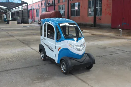 Al-Xfx China Neighborhood Electric Vehicle Price
