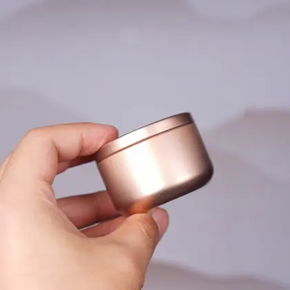 Trumpet Carry Pet Caskets Urns Pet Memorial Urn Bird Ashes Holder Cremation Urn for Ashes Pet Urn