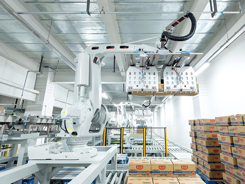 Heavy Duty Palletizing Robot Arm​