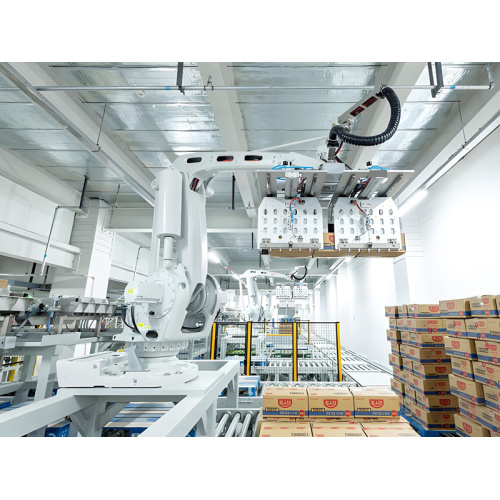 זרוע רובוט למשטחים כבדים