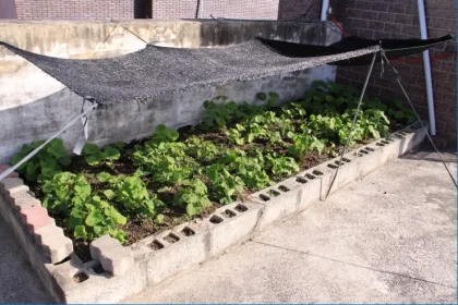 HDPE sun shade net sunshade cloth