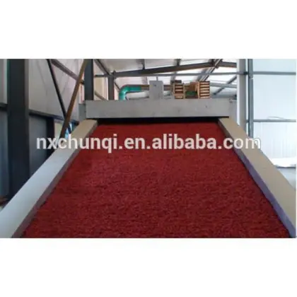 Navita's Naturals Organic sundried goji berry