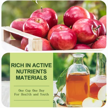 Haitian Fruit Vinegar Seasoning - 450ml Glass Packaged Apple Cider Vinegar