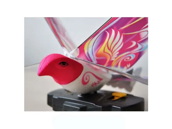 R/C BIRD