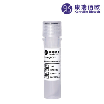 KanryECL™ Ru Mouse Anti‑Human IgG Fc Antibody