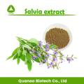 Extracto de salvia de Clary / polvo de salvia 10: 1 20: 1