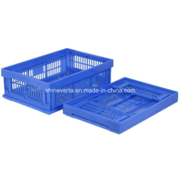 Boîte de Collection en plastique