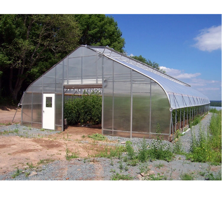 Tunnel greenhouse with UV protection for growing vegetables