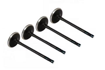 Direct Fit Engine Intake Valve