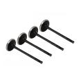 96335947 Intake Valve for Engine