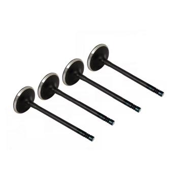 96335947 Intake Valve for Engine