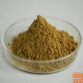 Extracto de astrágalo astragalósido 50% en polvo