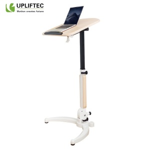 Portable Adjustable Folding Arm Laptop Desk