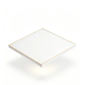 LED Ceiling Light for Laundry Room