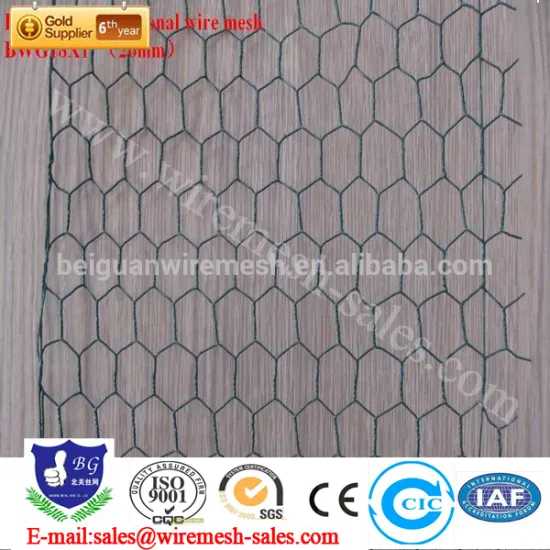high quality and cheap hexagonal mesh