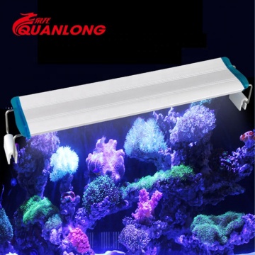 Luce d'acquario a LED QUANLONG EAPSARE PER SCELLA CORALE E CORALE