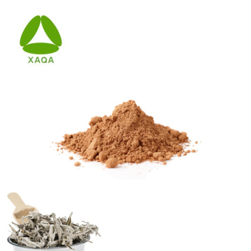 ISO9001 10:1 White Sage Extract Powder