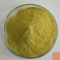 Extracto de Sophora japonica rutin nf11 95% en polvo
