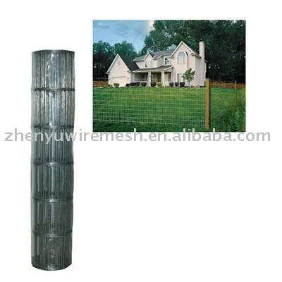 electro galvanized Welded Wire Mesh