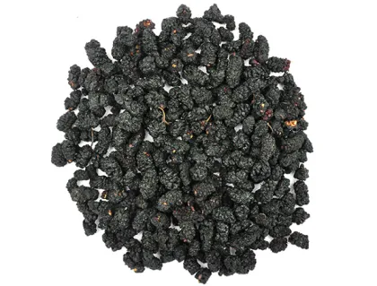 Top Quality Mori Fructus