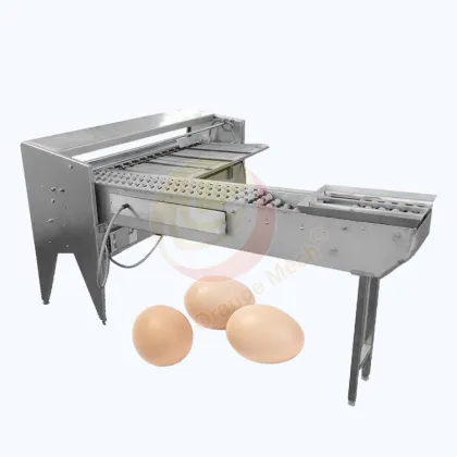 Egg Grading Equipment: 4500pcs/h Chicken Egg Sorting Machine for Poultry Farms