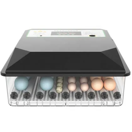 Mini Eggs Incubator for Rolling Turning Hatching Goose, Turkey, Quail, Duck, and Chicken Eggs for Sale
