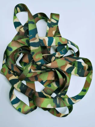 Webbing Sublimation Printed Polyester Webbing