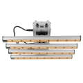 400W LED Grow Light pentru horticultură