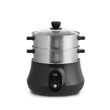 Two Layer Stainless Steel Multi-Function Electric Food Steamer