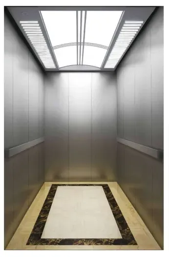 Panoramic Observation Medical Lift System