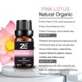 Pink Lotus Essential Oil Good Personal Care for Skin Care