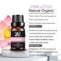 Pink Lotus Mafuta Muhimu Utunzaji mzuri wa kibinafsi kwa utunzaji wa ngozi