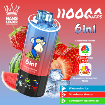 Bang Leader 110000 110k Puffs 6 in 1 Flavors Disposable Vape with LED Screen