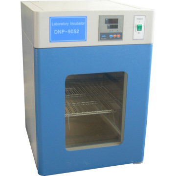 Elektrothermische stabiele temperatuur Incubator